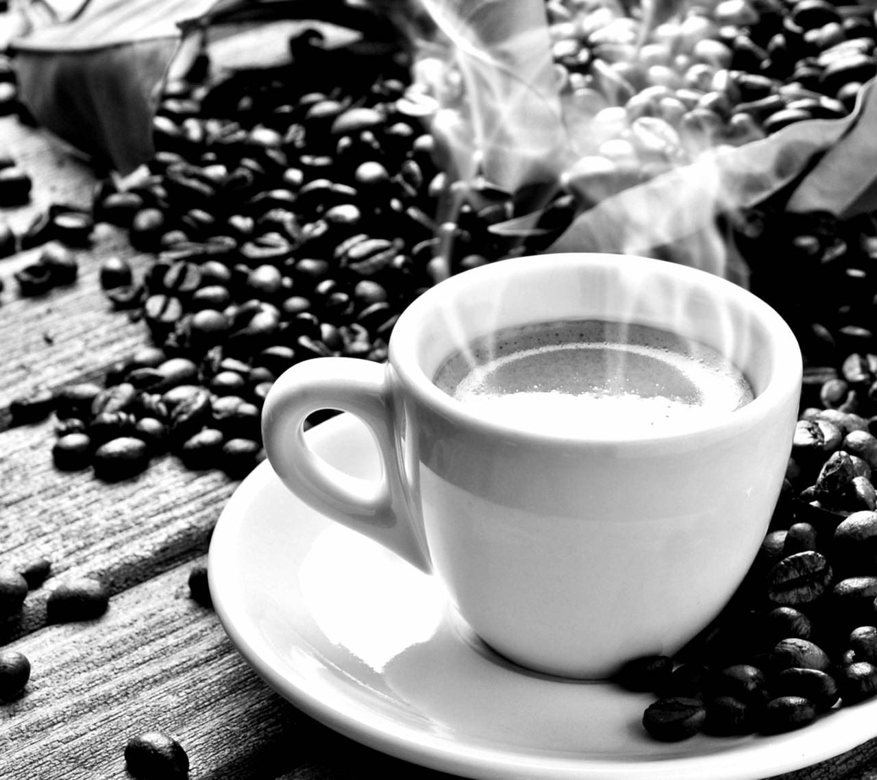   steam  coffee bean  food  produce  drink  — free black and white photo