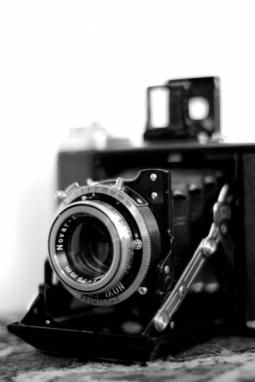   bokeh  photography  vintage  retro  — free black and white photo