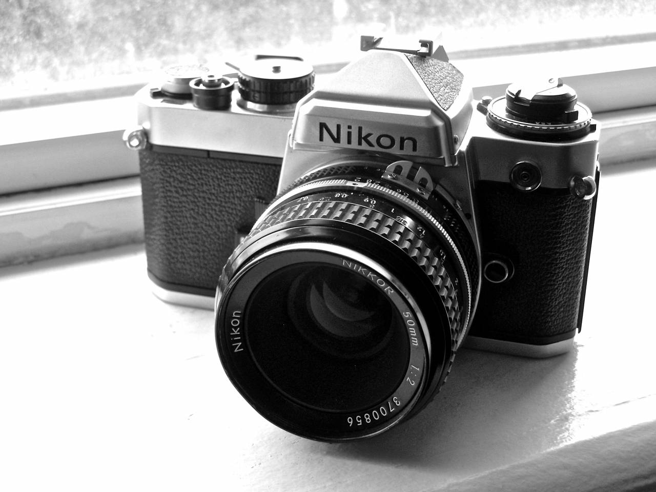   photography  photographer  old  film  photo  — free black and white photo