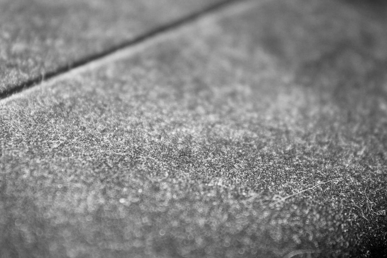 Dusty Surface Texture   Photos  — free black and white photo