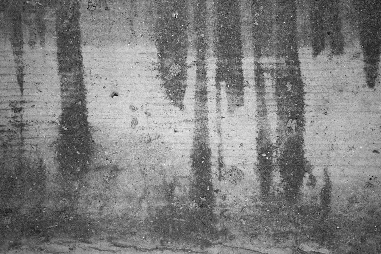 Grunge Wall Texture   Photos  — free black and white photo