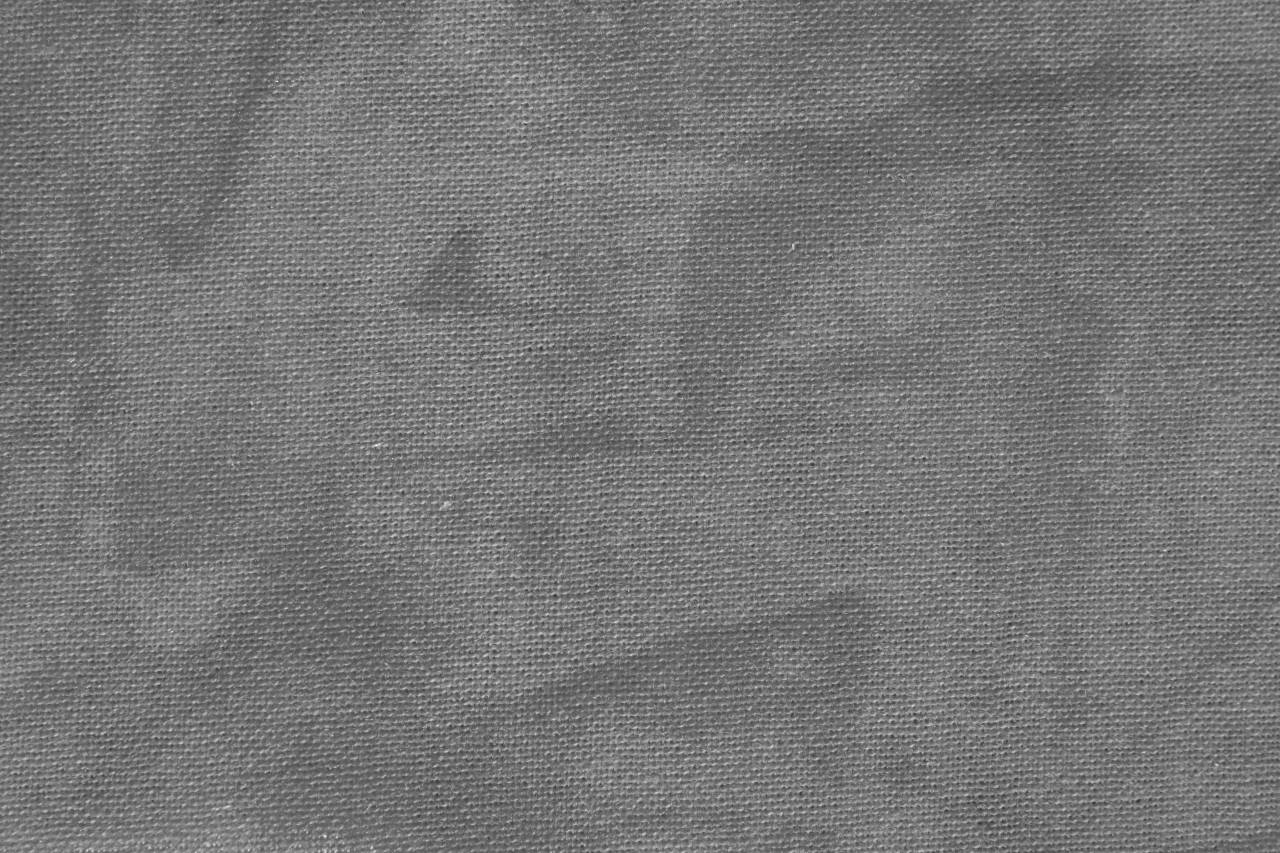 Lavender Plum Fabric Texture   — free black and white photo