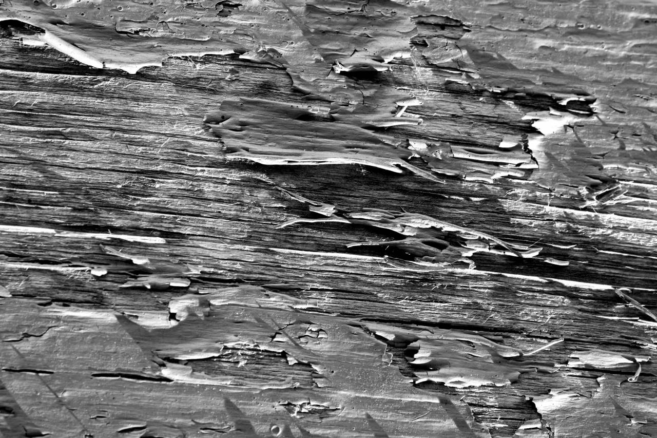 Peeling Brown Paint Texture   — free black and white photo