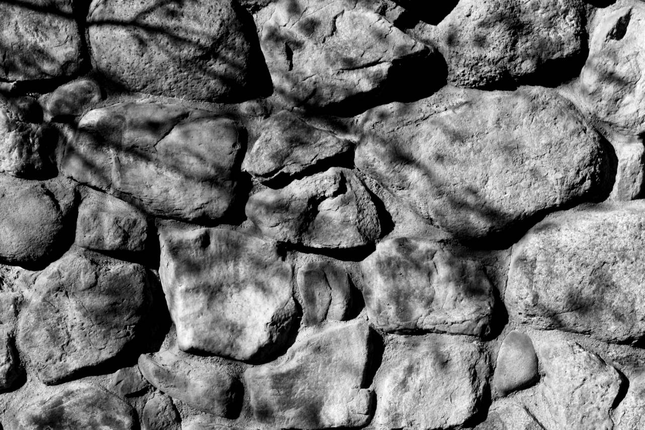 Rock Wall with Tree Branch Shadows Texture   Free  — free black and white photo