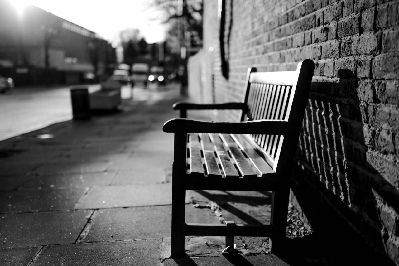 Park Bench During the Golden Hour Free Stock Photo  — free black and white photo