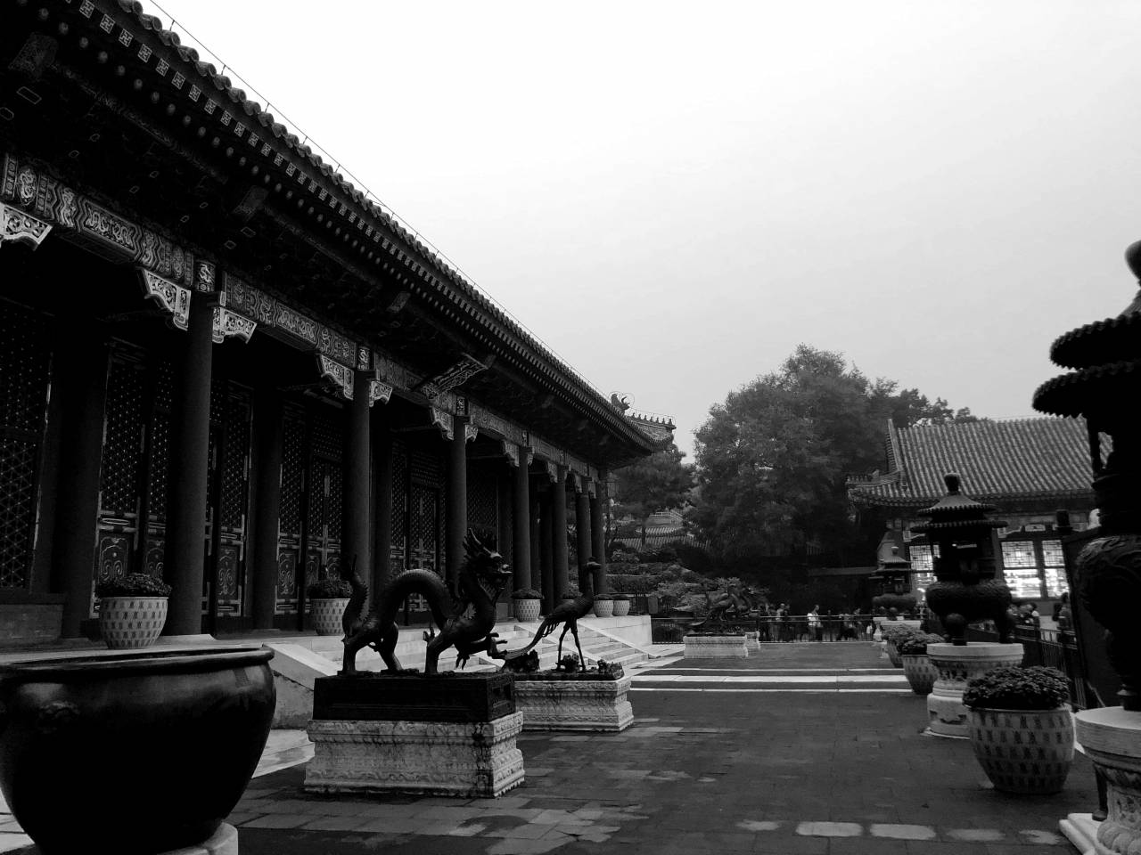 chinese dragon castle china head temple tourist tourism attraction sculpture kb — free black and white photo