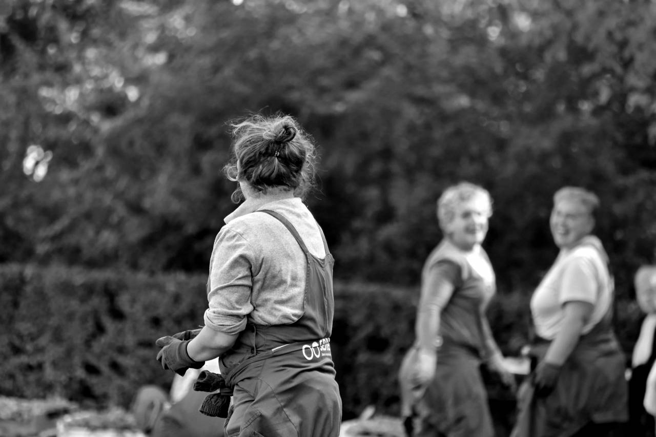 gardening gardener teamwork leisure happy planting job park stress relieve help  — free black and white photo