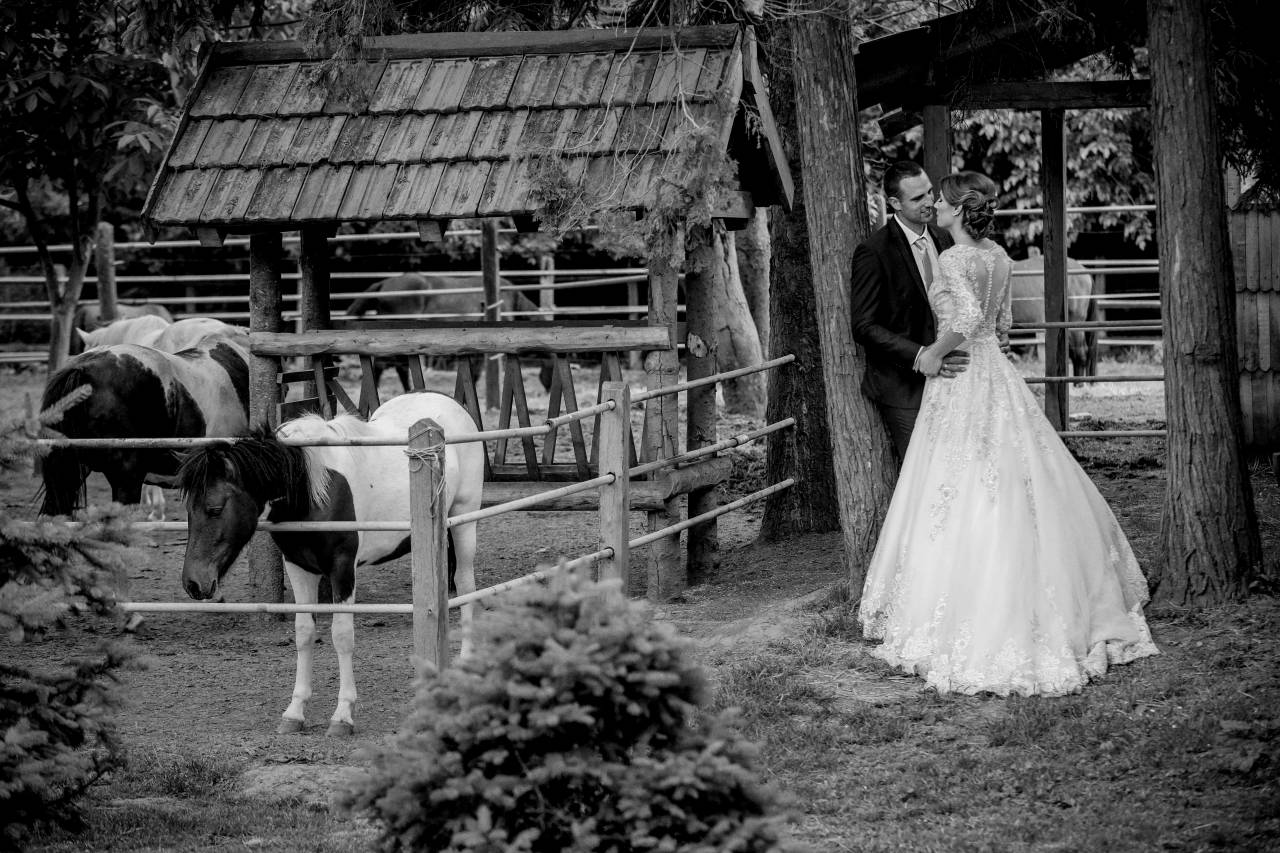 groom venue ranch bride farmland rural  — free black and white photo