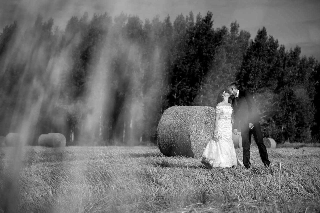 hay kiss field haystack groom bride straw agriculture  — free black and white photo