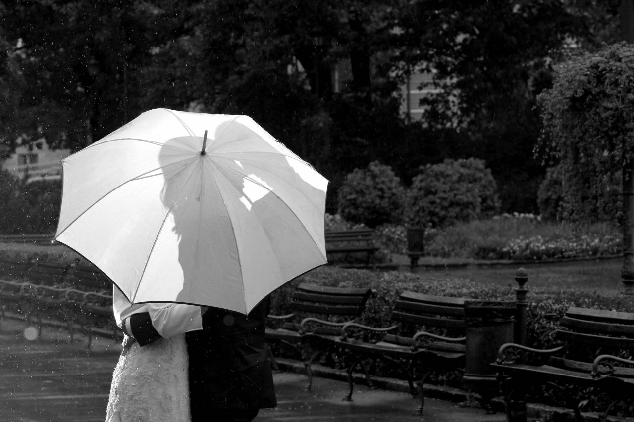 kiss romantic hug rain weather umbrella bride garden  lamp pretty — free black and white photo