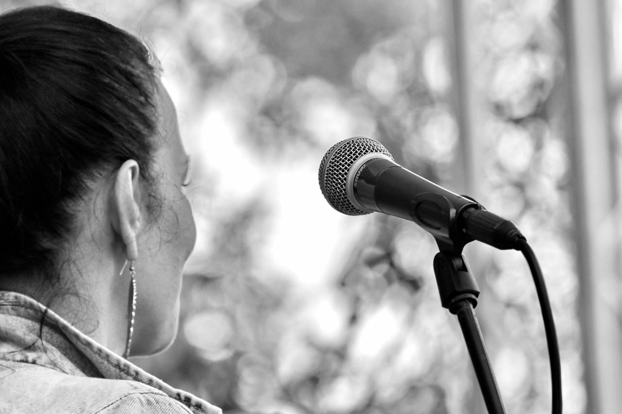 microphone music singer festival portrait musician concert performance landscape — free black and white photo