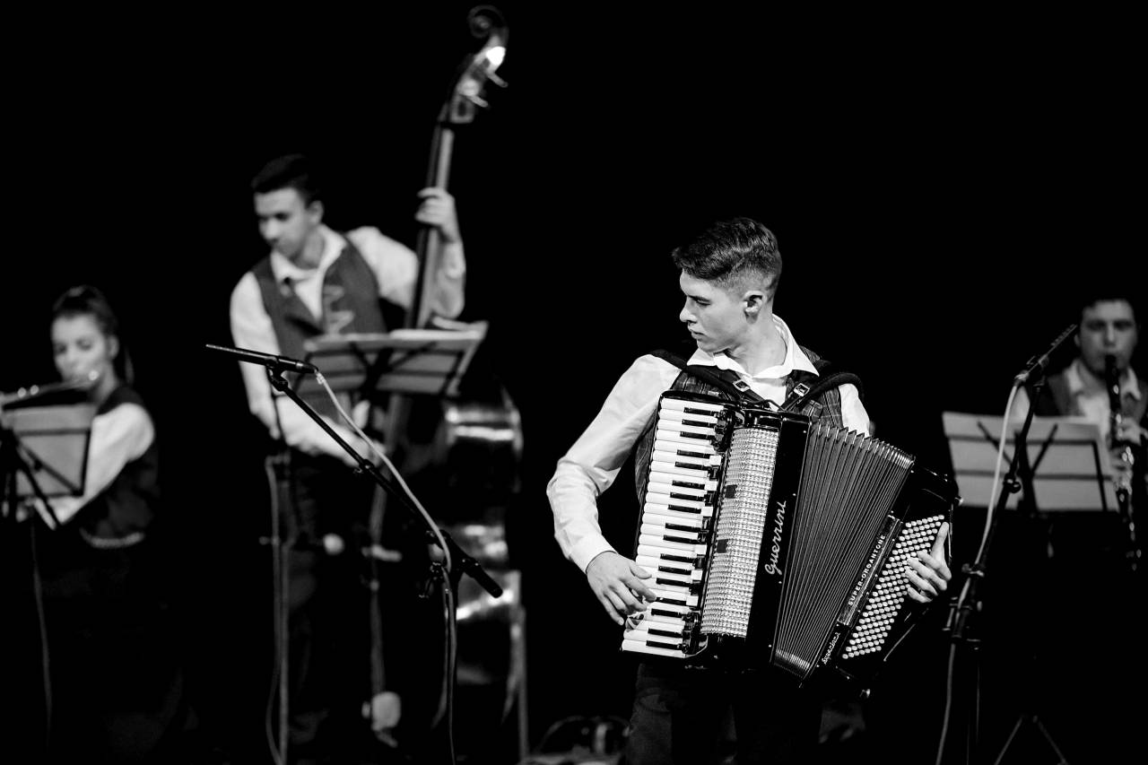 orchestra performance performer accordion theater instrument musician concert  — free black and white photo