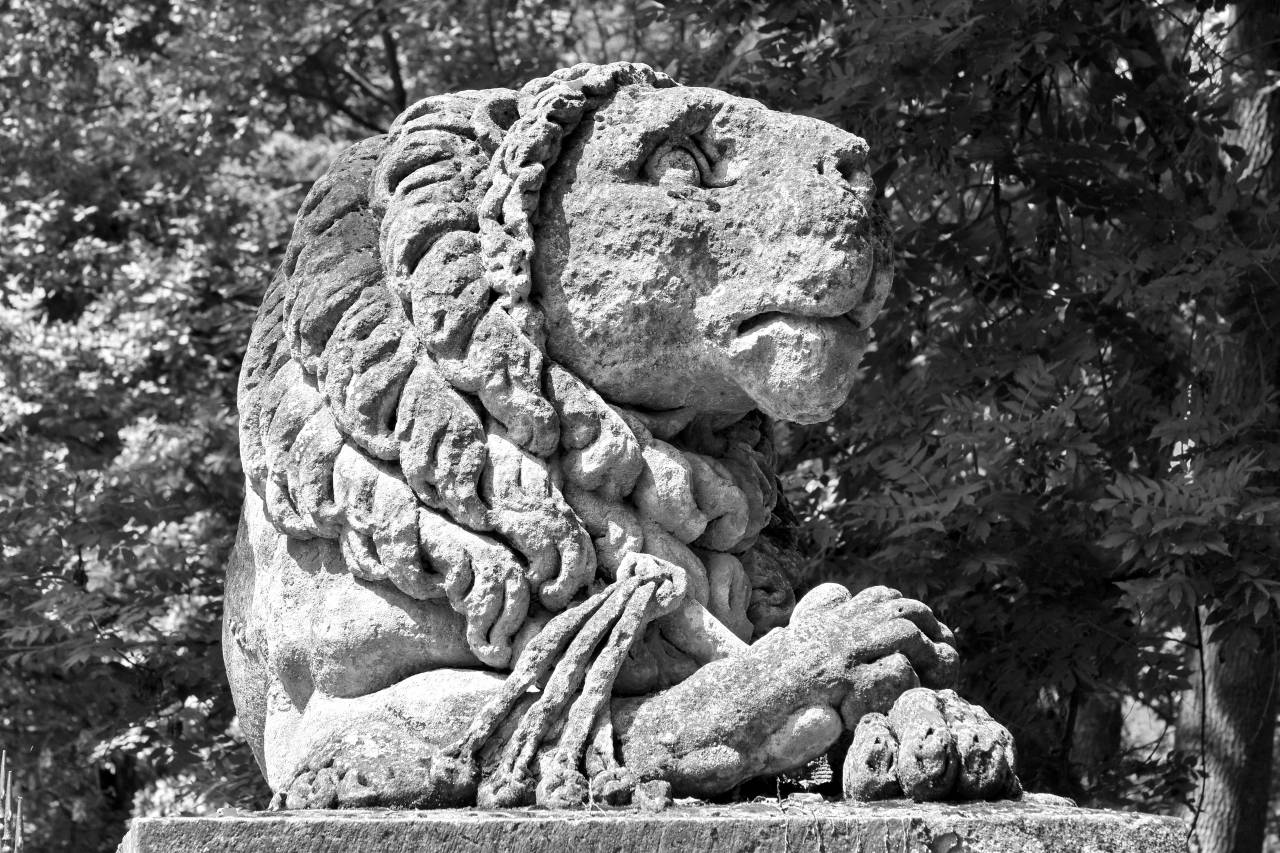 sculpture lion megalith memorial ancient carving stone statue culture  — free black and white photo