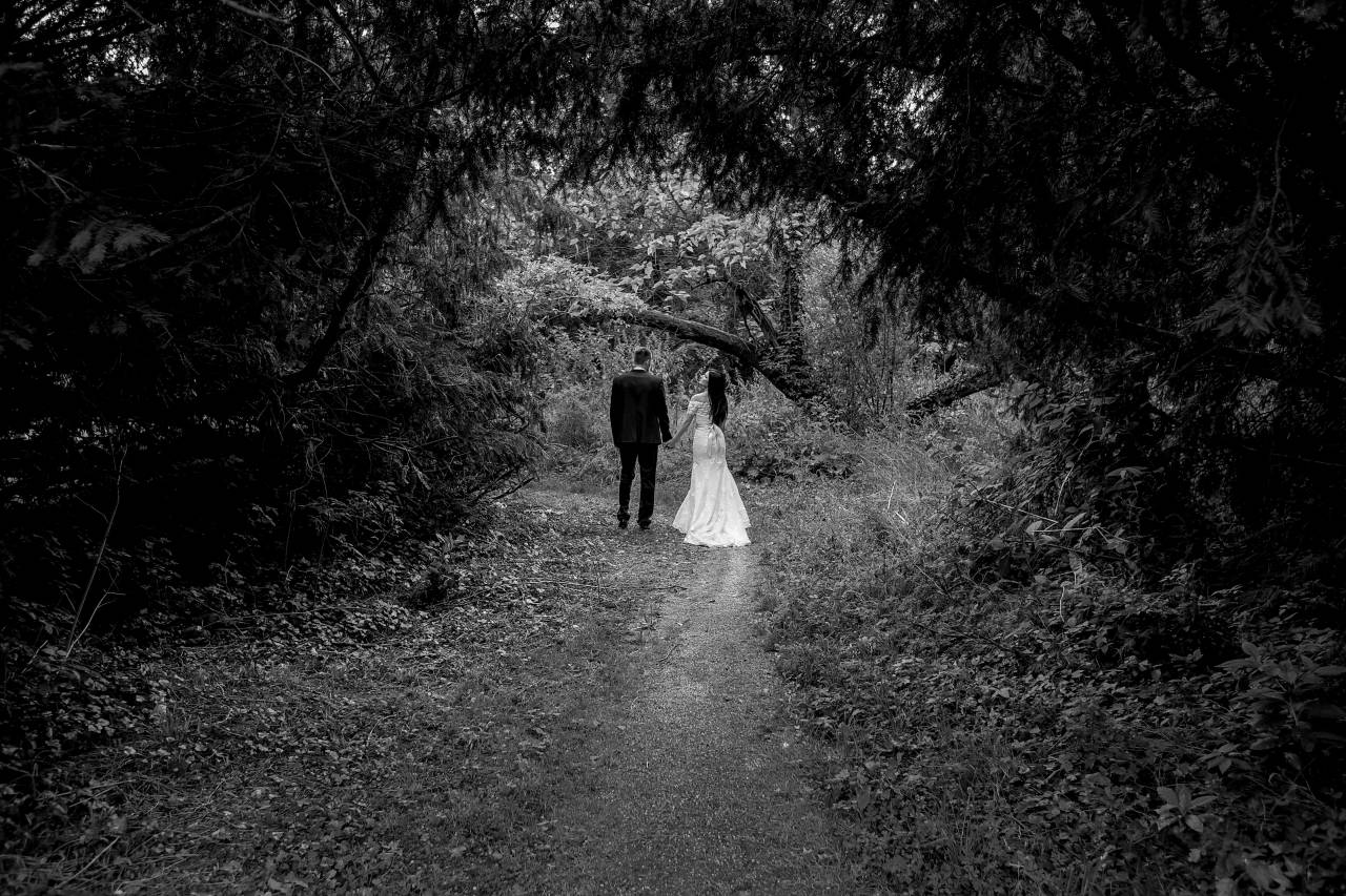 trail forest groom bride tree landscape wood  — free black and white photo
