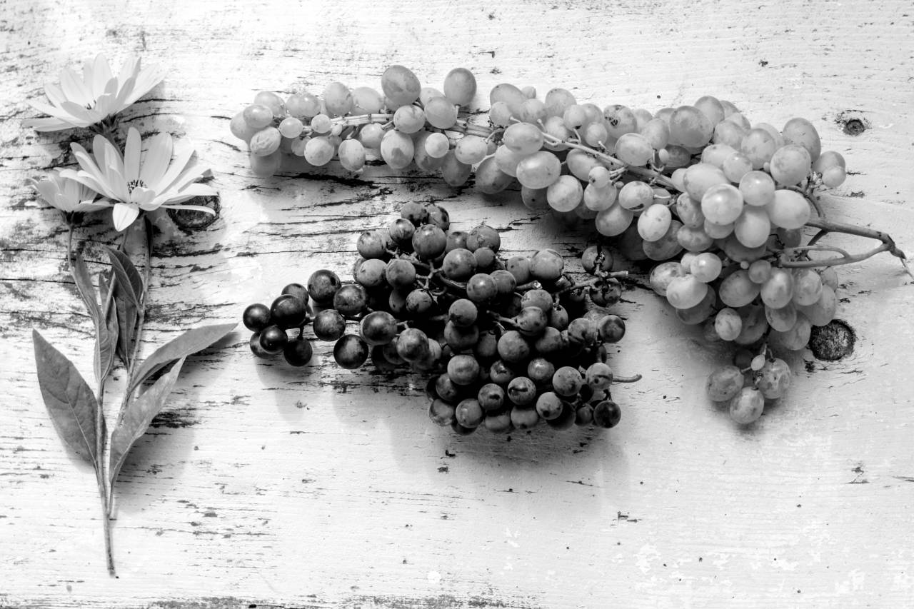 Grapes Flat Lay  — free black and white photo