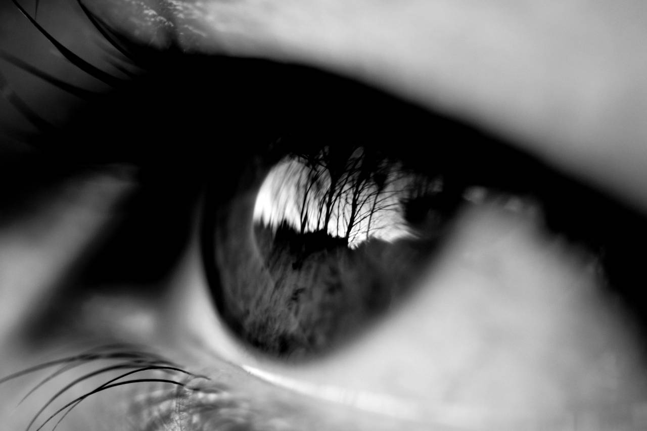 Human Eye  — free black and white photo