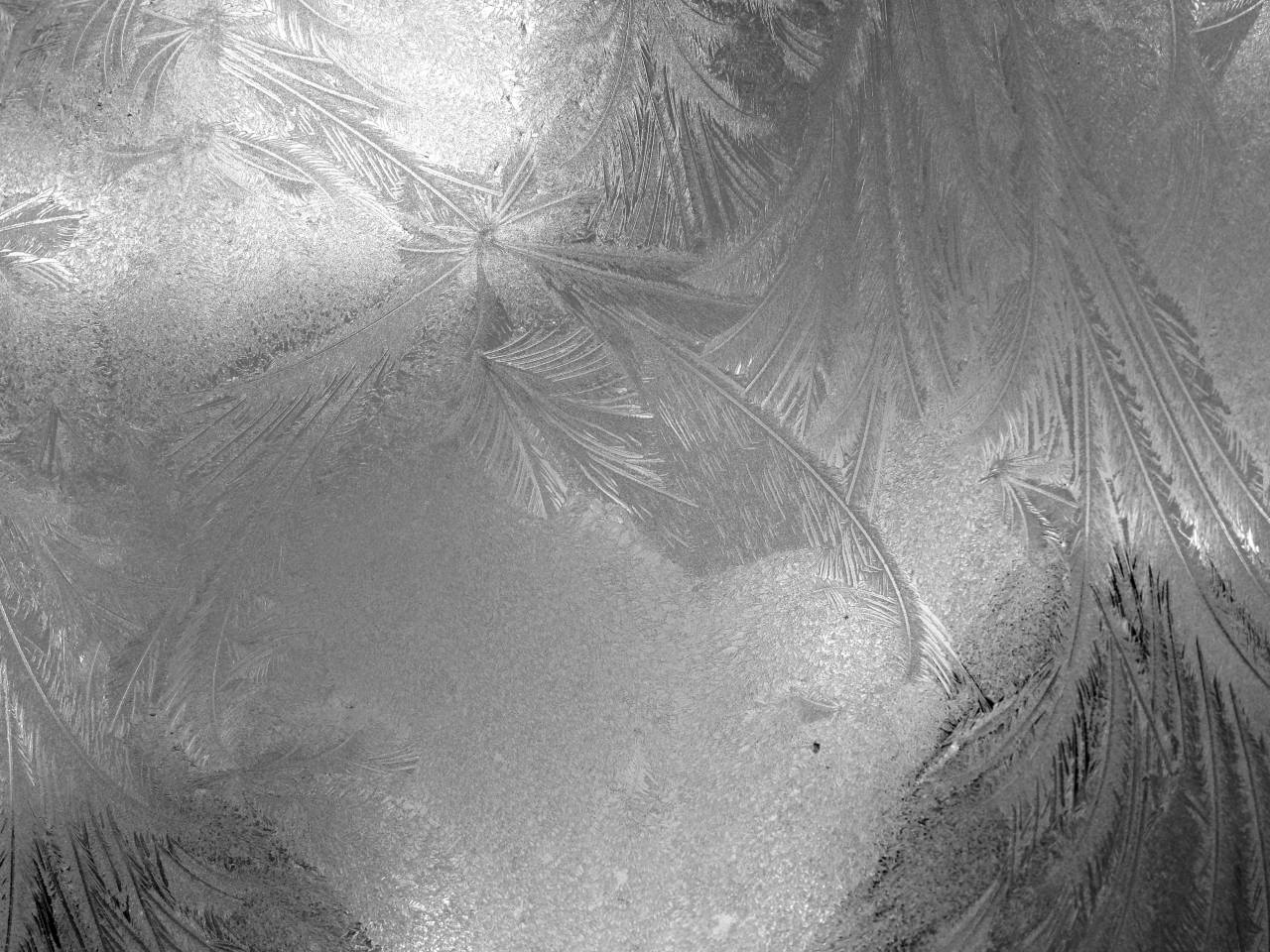 Icy Window  — free black and white photo