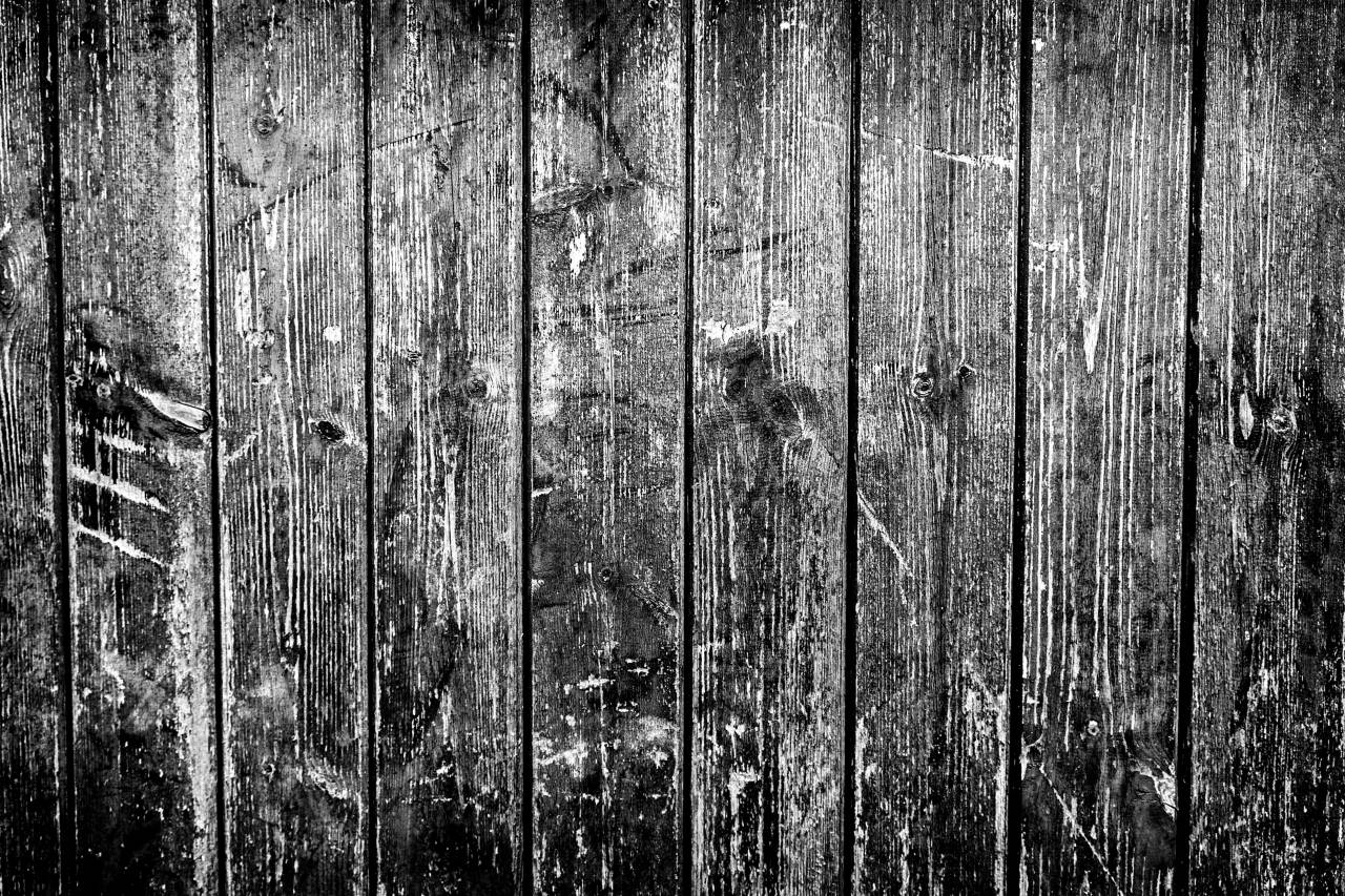 Monochrome Wood Texture  — free black and white photo