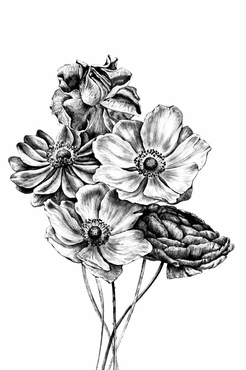   bunch  bundle  of  flower bouquet  black and  — free black and white photo