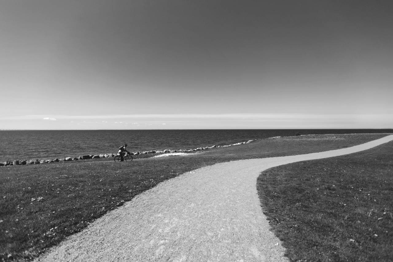 Man Cycling Path Free Stock ?Photo? -  — free black and white photo