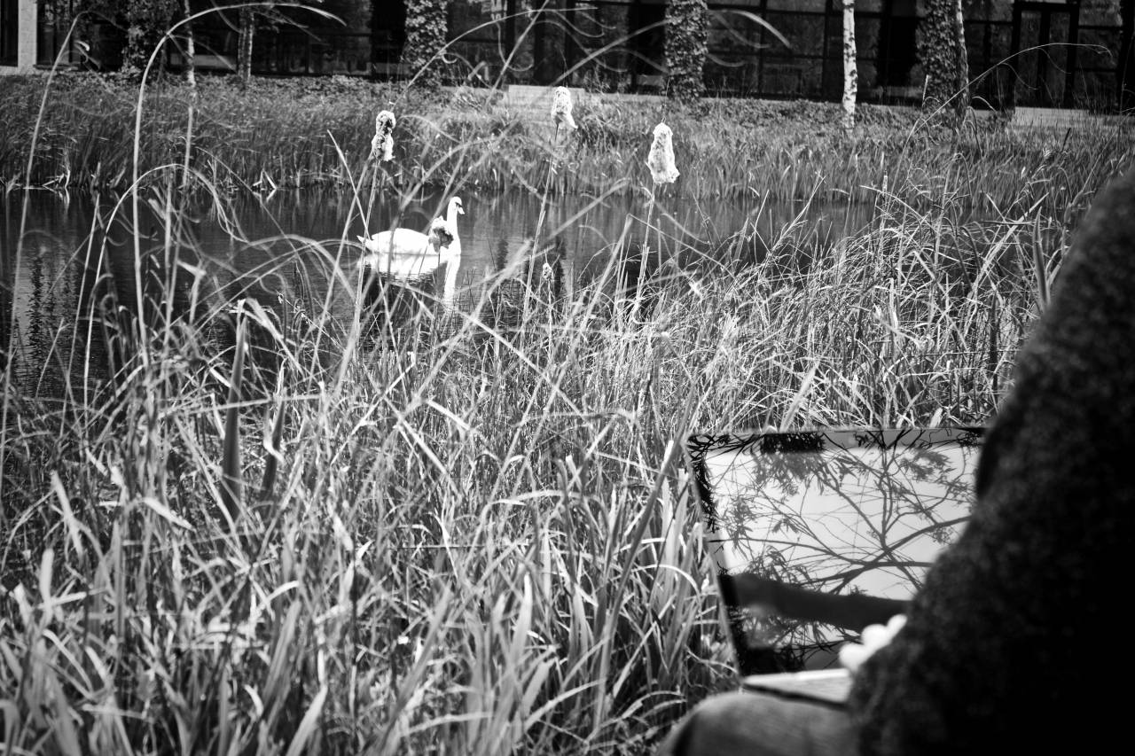 Man on Laptop Green Royalty-Free Stock ?Photo? and Image — free black and white photo