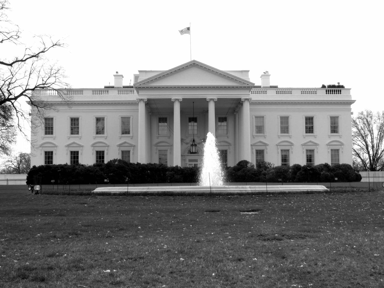   branch  lawn  mansion  building  chateau  — free black and white photo