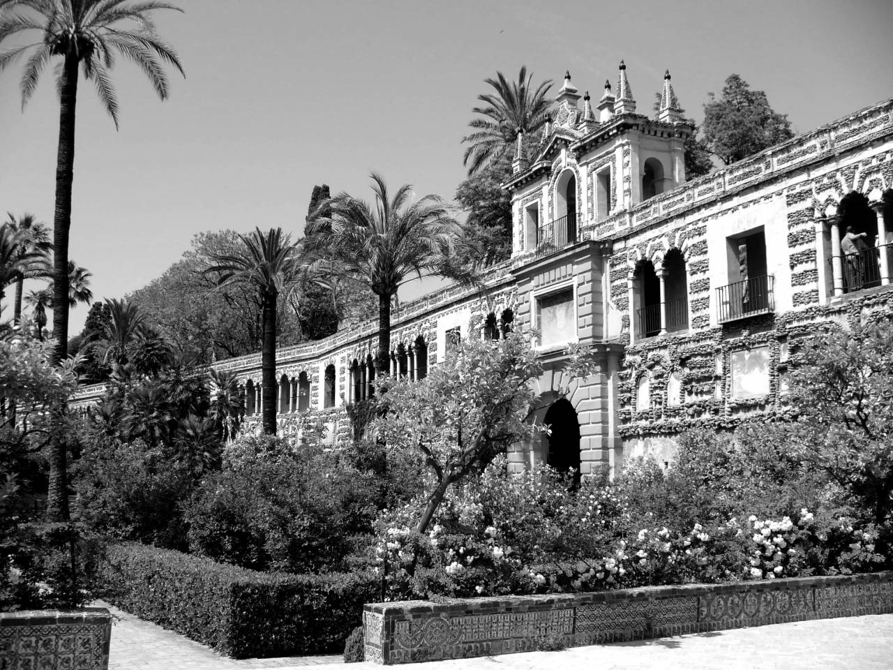   landscape  architecture  villa  mansion  — free black and white photo