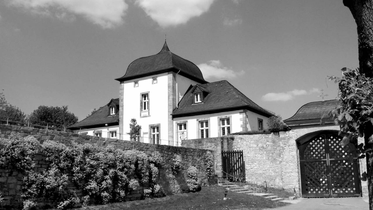   tree  sky  villa  mansion  roof  building  — free black and white photo