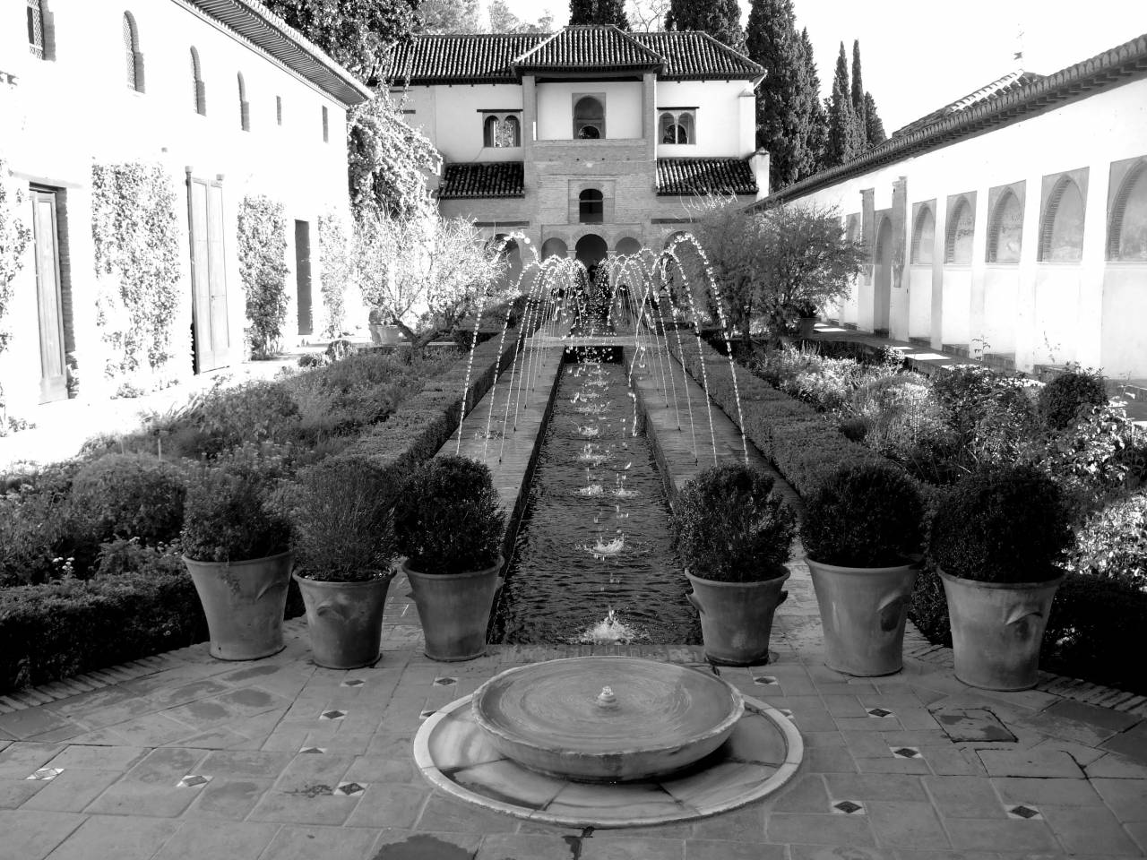  villa  mansion  flower  backyard  property  — free black and white photo