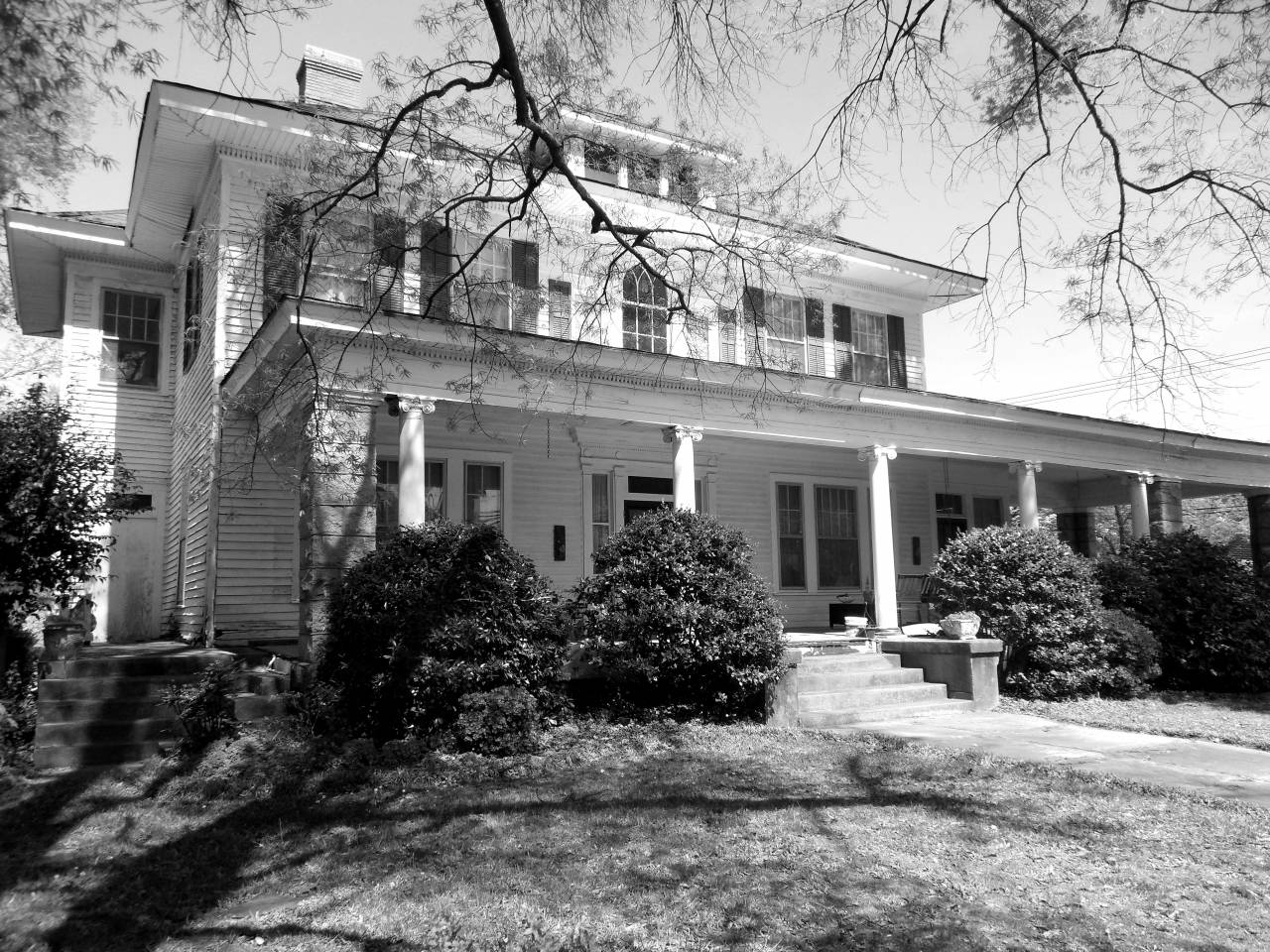   architecture  white  lawn  villa  mansion  — free black and white photo