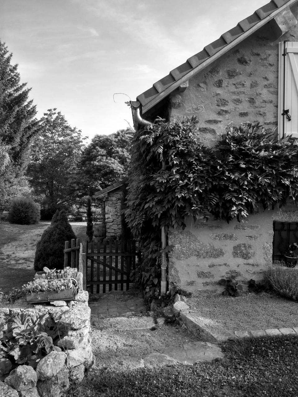   nature  lawn  villa  mansion  house  home  — free black and white photo