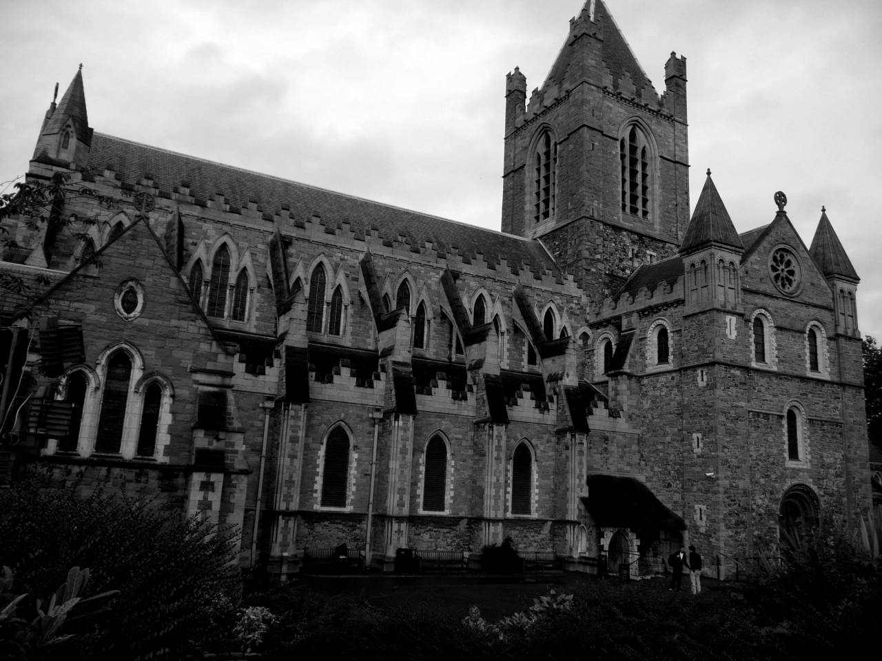   tree  grass  structure  mansion  chateau  — free black and white photo
