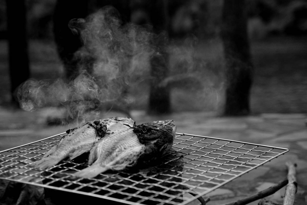 Fish on BBQ Grill  — free black and white photo