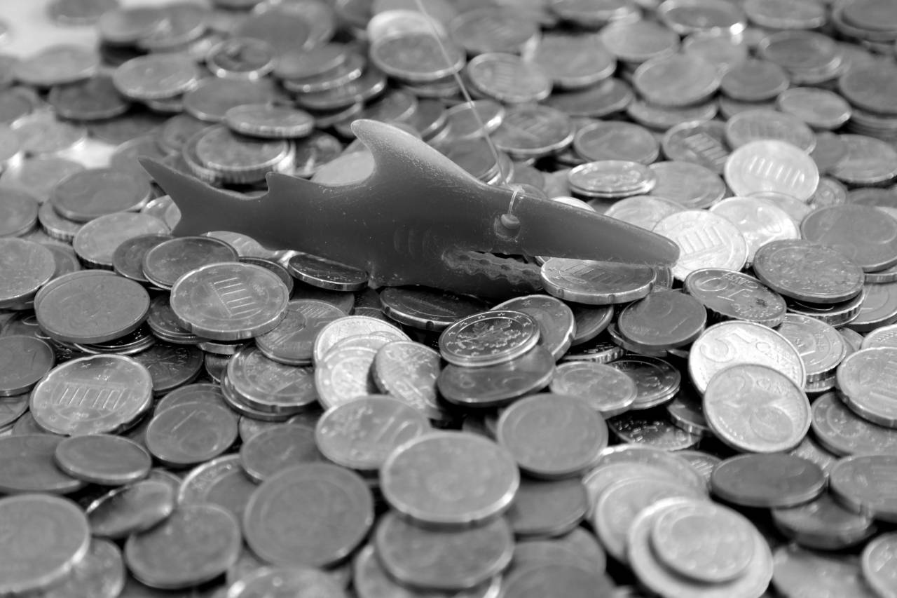   blue  fish  circle  close up  cash  copper  — free black and white photo