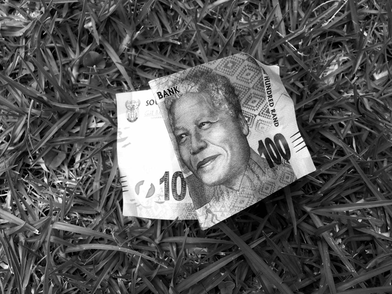   grass  lawn  money  material  note  cash  — free black and white photo