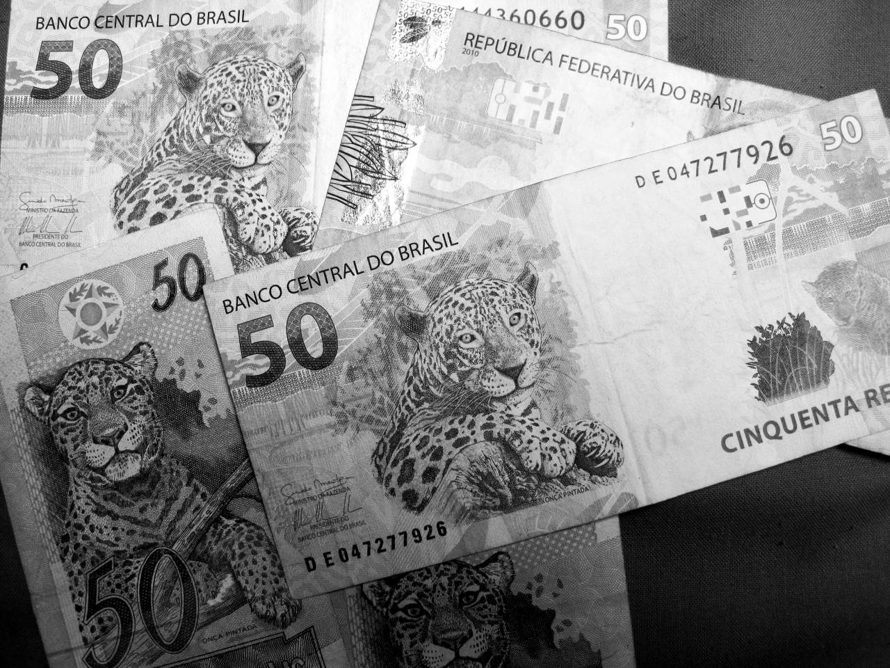   material  cash  back  beige  jaguar  detail  — free black and white photo