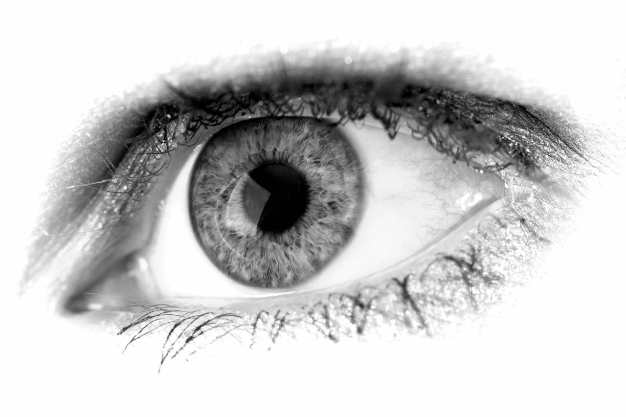   abstract  woman  female  macro  brown  ear  — free black and white photo