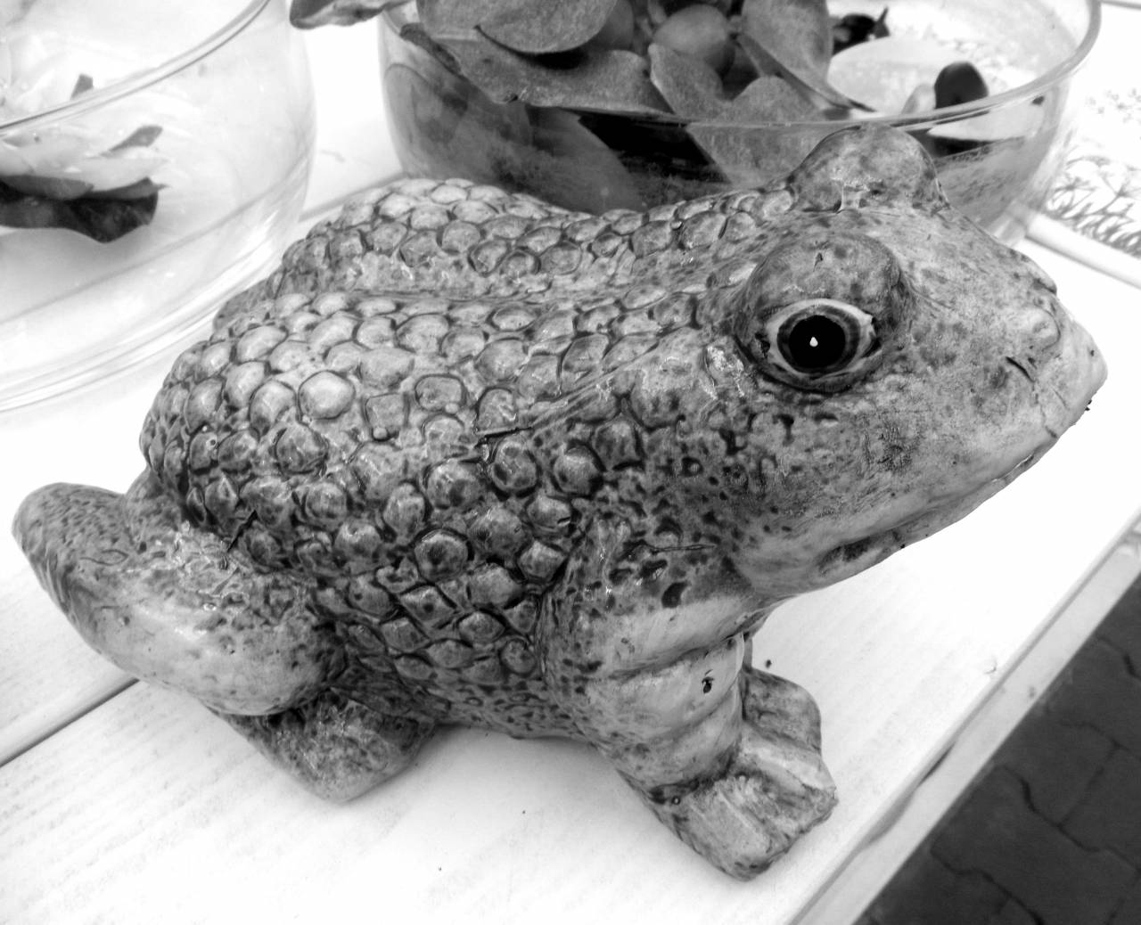   animal  pond  decoration  dish  food  green  — free black and white photo