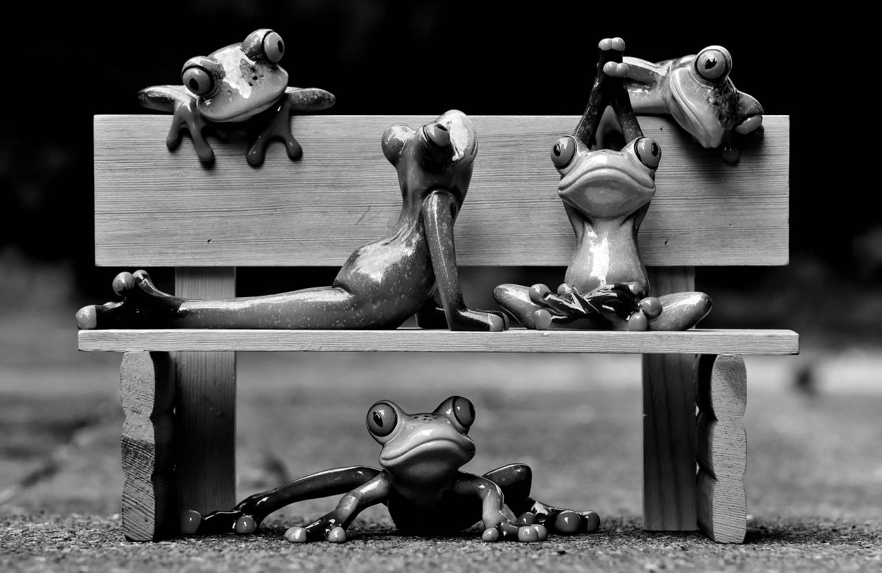   bench  play  sweet  cute  green  rest  — free black and white photo