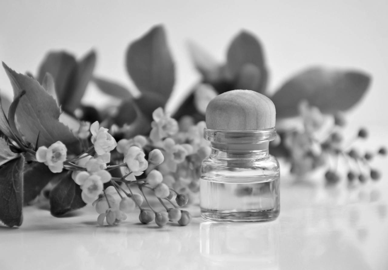   essential oil  aromatherapy  cosmetic oil  — free black and white photo