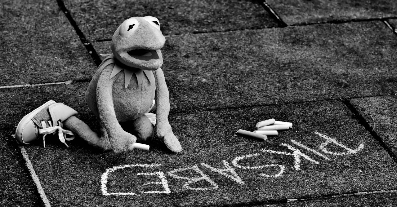   grass  ground  play  cute  green  color  — free black and white photo