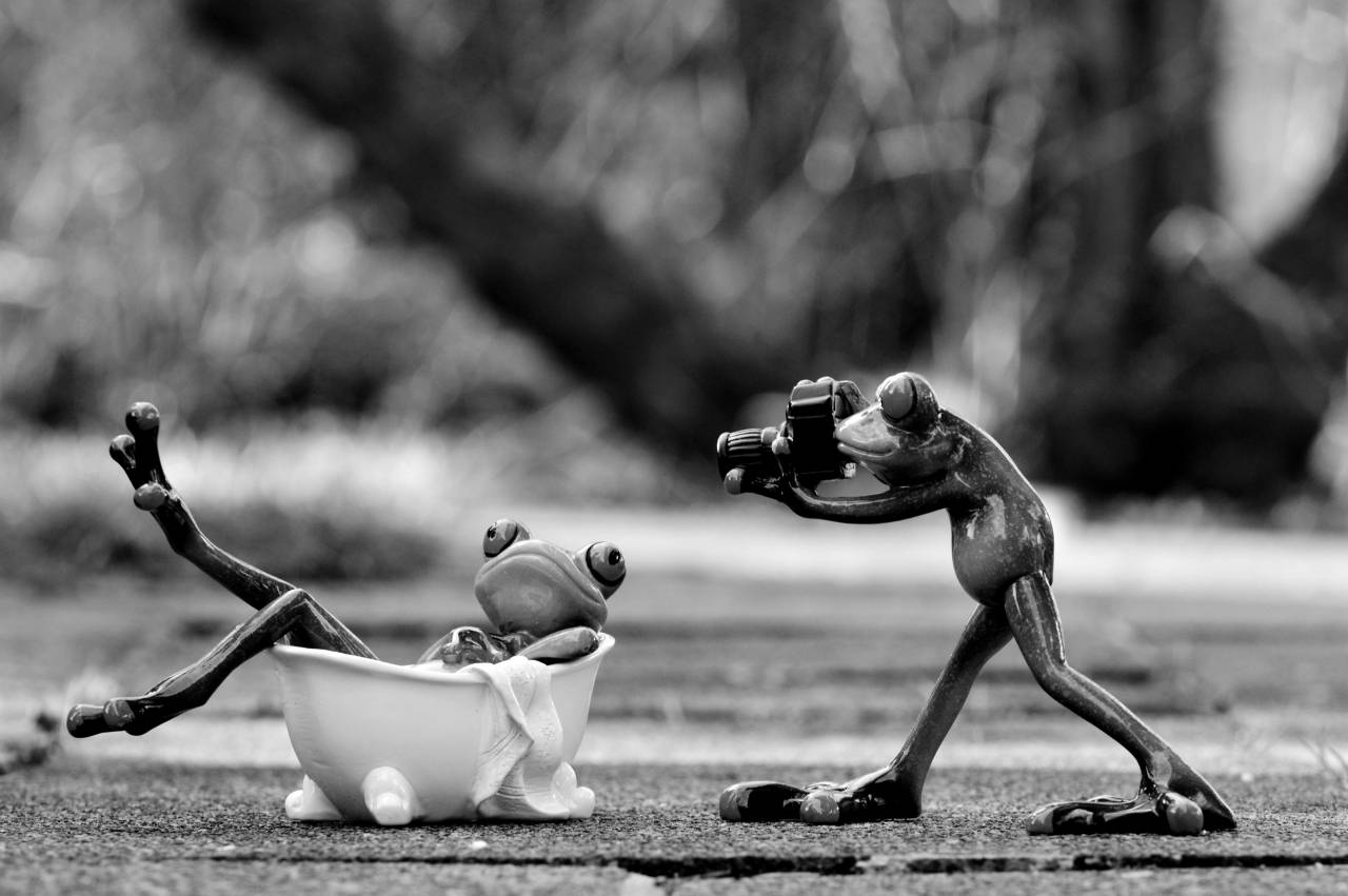   photographer  sweet  cute  swim  green  — free black and white photo