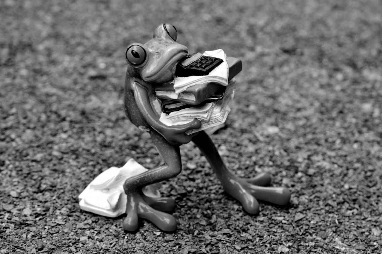  sweet  animal  cute  decoration  green  — free black and white photo