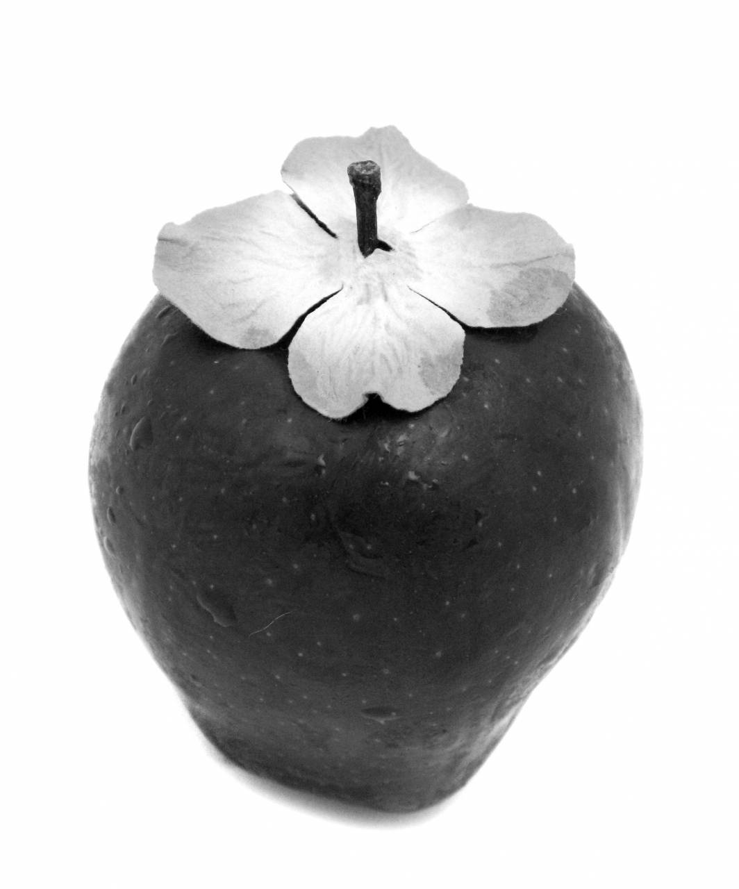   apple  white  fruit  isolated  dark  food  — free black and white photo
