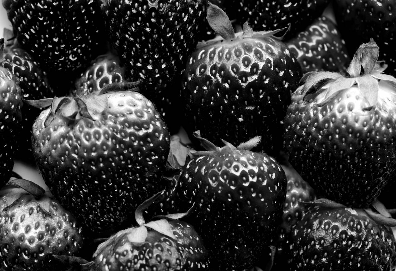   berry  black and white  close up  delicious  — free black and white photo