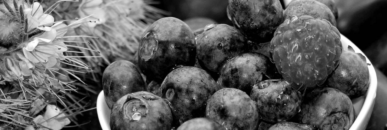   blossom  black and white  raspberry  fruit  — free black and white photo