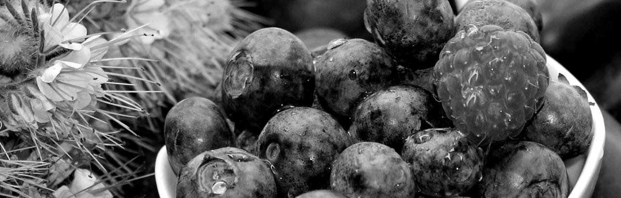   blossom  raspberry  fruit  sweet  bloom  — free black and white photo
