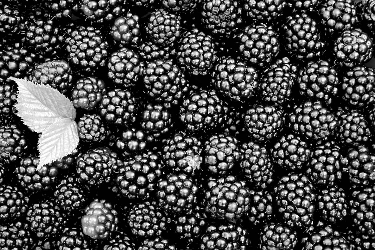   fruit  berry  dark  pattern  food  produce  — free black and white photo