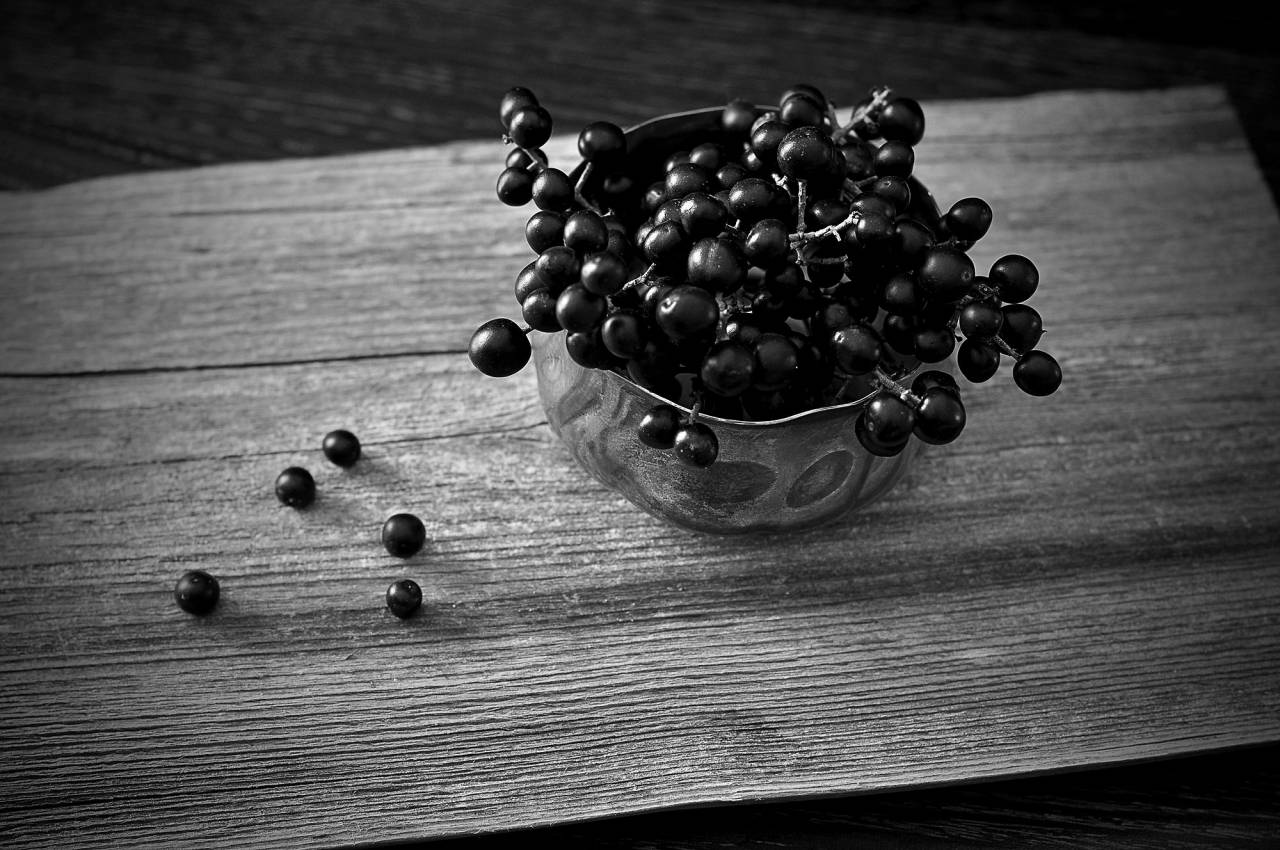   fruit  berry  flower  purple  petal  bowl  — free black and white photo