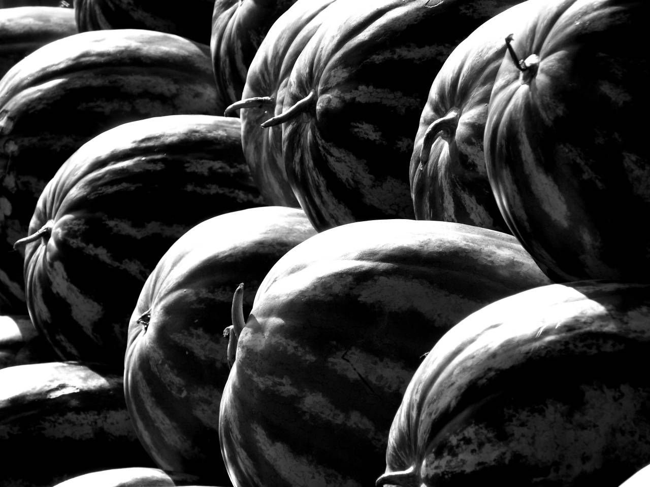   fruit  food  green  produce  vegetable  — free black and white photo